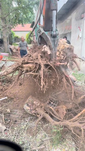 Uproot Excavator | Amazing 😱 Most Satisfying 🥰 Excavator Stump Tree Removal 🌳🚜 #fyp #trending #viral #reels #fbreels #reelsfb #excavator #heavyequipment... | Instagram