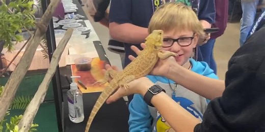 Critters of all kinds on display at Herps Reptile and Exotics show in Longview this weekend