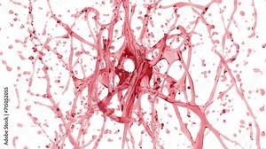 Eight water or wine drops colliding with splash on white background. Slow motion. Cherry juice visualization.