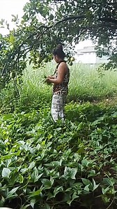 Maghahanap tayo ng ating gulay na lulutuin,, At syempre Kasama natin ang ating Bida 🥰 #hilightseveryonefollowers2025 #ilovemypetwakie #viralreelsvideo #wakie #mybestfriend | Castellano Antong Marilou