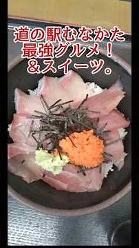 道の駅むなかた 神グルメ！奇跡の海鮮丼！#道の駅むなかた#マグロ丼#道の駅グルメ#ブリマグロ丼#道の駅