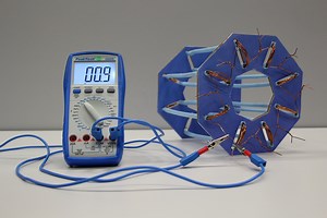 12K views · 551 reactions |  Let’s get toroidal this week! Build your own functional model of the magnet system of the ATLAS Experiment at CERN and study its magnetic field.  Retrieve the full instructions: https://scoollab.web.cern.ch/atlas-magnet-model You don’t have access to a 3D printer? Get creative by using straws and cardboard instead! | CERN | Facebook