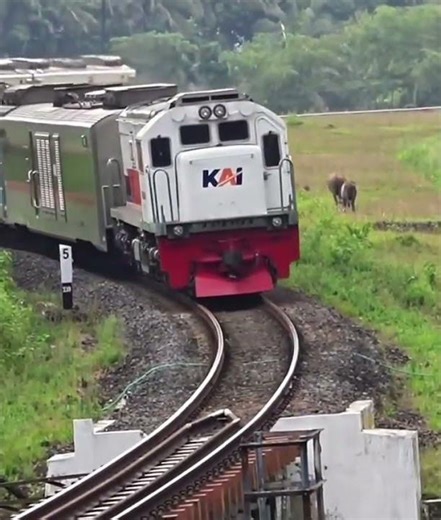 kereta api Argo Lawu melintas di tikungan tajam menuju gunung selamat