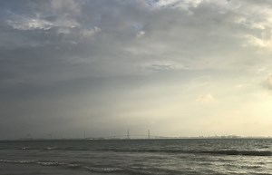 Bulerías de Cádiz | The Weekly Letra — experience flamenco