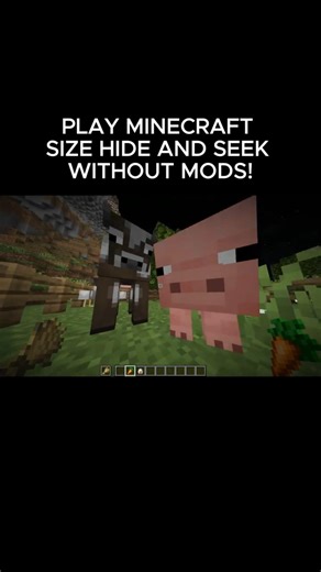 Become TINY or GIANT in Minecraft… No Mods 😏
