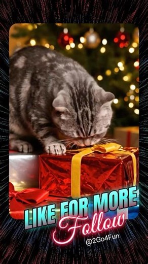 Christmas Cats AI Video | Funny & Realistic Cat Behavior