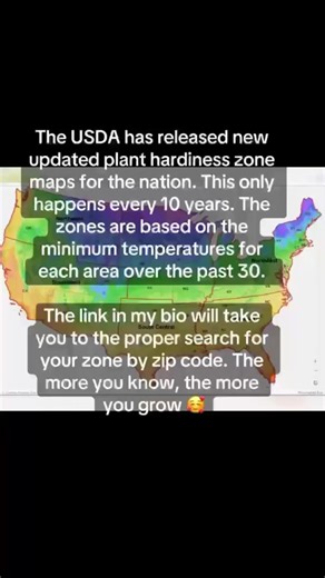 Knowing your USDA planting zone will help you learn how to grow food more efficiently. #garden #gardening #growfood #growfoodnotlawns #gardeningtips #growyourownfood #zone9garden #zone9gardening | The Zen Hen and The Honey Bee Farm