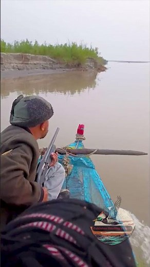 Hunting Eurasian Coot from a Moving Boat