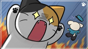 10K views · 793 reactions | Cat zoomies: 6 Ways to Deal with Them | BEMYPET.Channel | Facebook