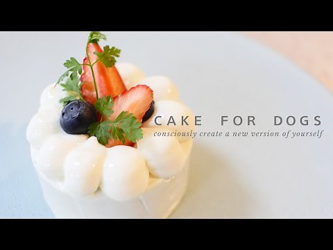 Homemade Cake for Dogs [For Your Dog's Birthday] | Cake for Dogs