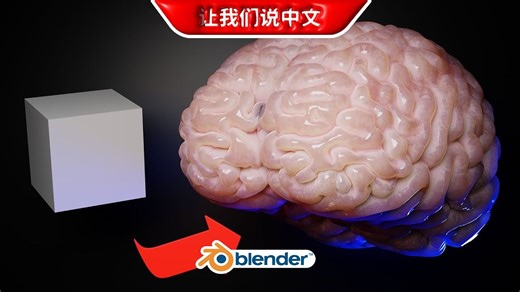 Blender丨创建大脑模型
