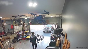 Chicken Has Fun Interaction With Delivery Driver in Garage