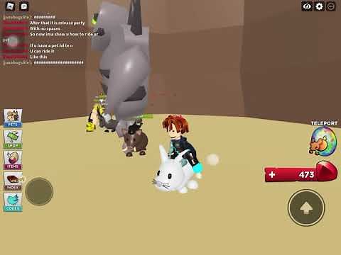 Pet hero’s how to trade ride ur pet and codes