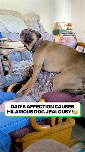345K views · 8.1K reactions | I have never seen such a jealous dog before!  | Fluffy Animals | Facebook