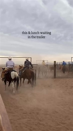 3.6K views · 425 reactions | After a long day of cattle works,...