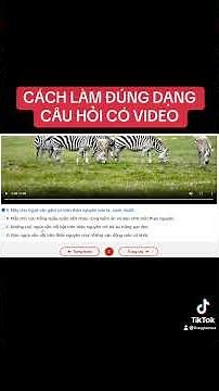 HOW TO DO THE CORRECT QUESTION FORM WITH VIDEO IN THE VIETNAMESE LANGUAGE EXAM