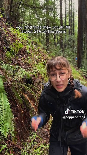 Discover the Fascinating World of Ferns