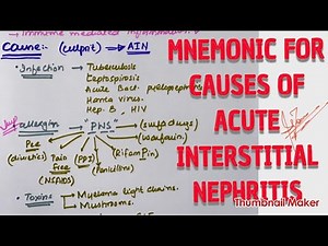 ACUTE INTERSTITIAL NEPHRITIS | INTRO N CAUSES | MNEMONIC | MEDICINE with DR SHAMAMA