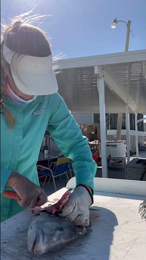 How to Filet a Sheepshead