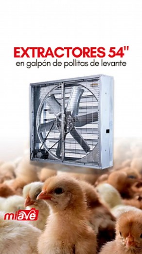 10K views · 183 reactions | Extractor de 52" con 6 aspas, doble...