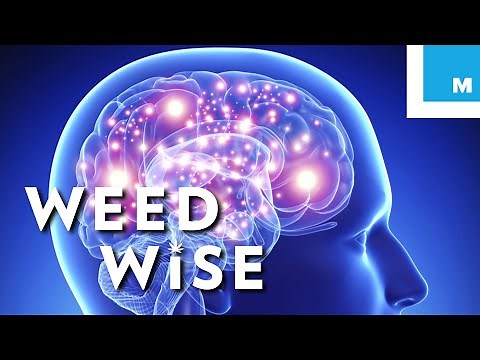 Is It Possible To Overdose on Cannabis? - Weedwise