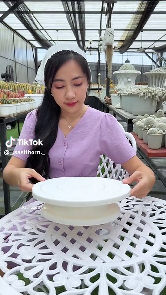 Cactus: The Ultimate Guide for Garden Enthusiasts