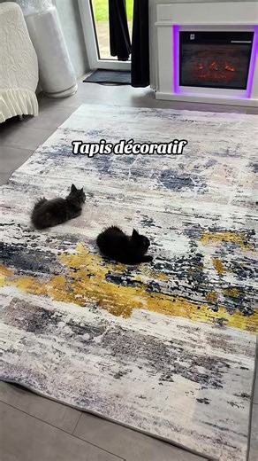 Vidéos de Sandra • Beauty | SelfLove ✨💄 (@sandra_btaa) avec Lazy Sunday - Official Sound Studio