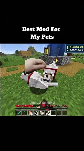 The BEST Wolf Companions You Can Find in Minecraft! ✨ #minecraft #pets #shorts