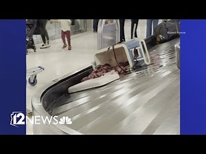 VIDEO: Raw meat on luggage carousel at Arizona airport
