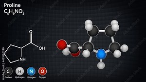 Proline (symbol Pro or P) is a cyclic, nonessential amino acid in humans. Formula: C5H9NO2. 3D render. Seamless loop. Chemical structure model: Ball and Stick.