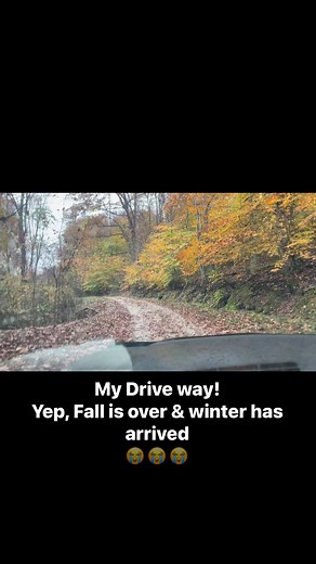 13K views · 76 reactions | The colors are almost gone  | Emily F Thompson | Facebook