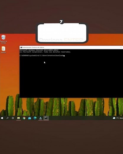 Compara el contenido de dos archivos