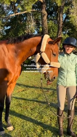 Overcoming Fear of High Horses in Show Jumping