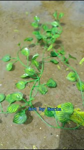 Available in stock 😍💙 2nd page: Marin's Art Lab #minifan #minifandiffuser #minifanrechargeable #minifanportable #artbymarin #viralpost2025 #foryoupagereels #foryoupageシforyou #foryoupageシ | Art by Marin