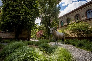 Doctoral School of Veterinary Science [Agricultural Science]