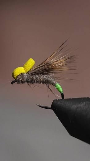 Creating a Balloon Caddis Fly