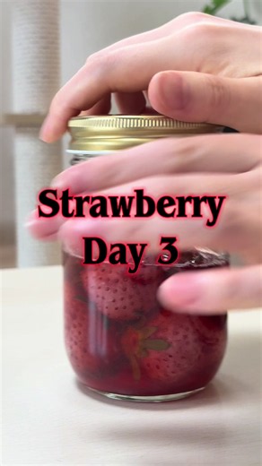 The strawberries from this farm are growing really well this time, so they’re much easier to manage! I’m experimenting to see if bread can be made using wild yeast from seasonal Japanese fruits. Under the 24-hour supervision of my cat inspector, fruit and flour are quietly fermenting at home today too. Today’s yeast: Strawberry (Berrypop suzu) #wildyeast #fermentation #breadmaking #slowliving #strawberry