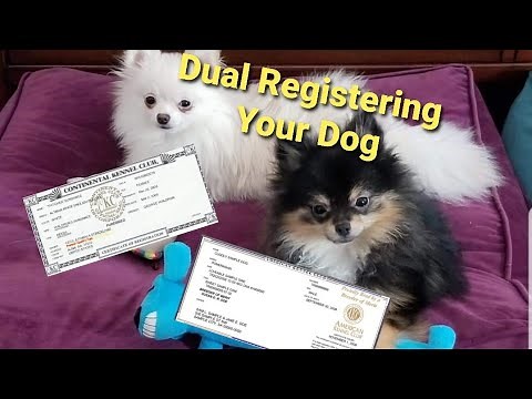 Dog Registration Dual Registration Process for AKC/CKC
