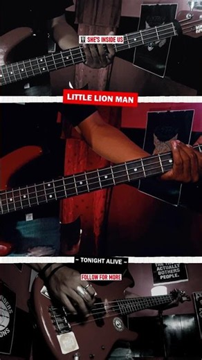 Udah nonton cover ini? 👉 Little Lion Man - Tonight Alive (Bass COVER) by #sheinsideus
