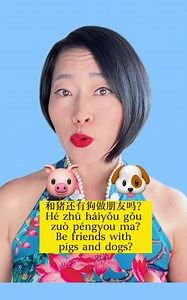 You can find subtitles of this video on : https://www.instagram.com/easymandarinteacher/ | Easy&Fun Chinese