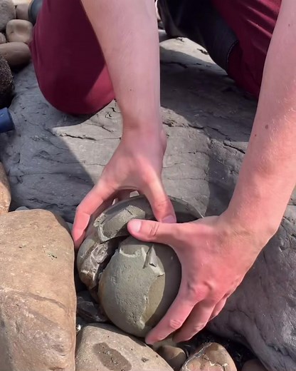 Discovering Jurassic Age Fossils on a Local Beach