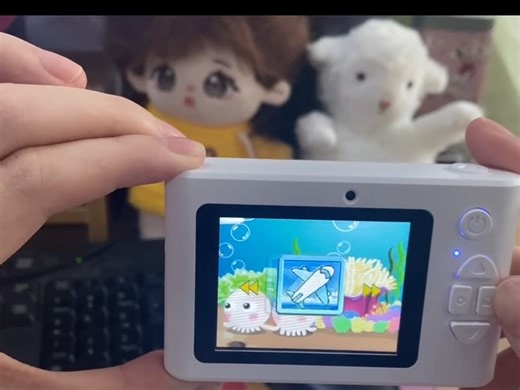 P1相机-使用流程