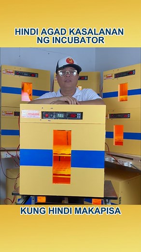 57K views · 554 reactions | Hindi napisa? Huwag agad sisihin ang incubator! Baka may konting mali sa set-up kaya hindi makapisa. Pumili ng quality na incubator, naka-set up na, ready to use, at easy to use! ✅ FREE Shipping  Cash on Delivery Nationwide | Juan Incubator | Facebook