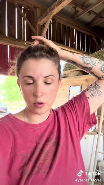 Rescuing a Baby Barn Swallow: A Heartwarming Tale