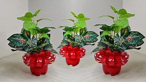 16K views · 38 reactions | DIY Flower Vase with Plastic Bottle | JK Creation | Facebook