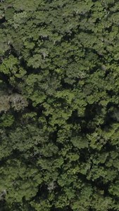  FSC Forest Week 2023 has arrived! In this critical decade, we are proud to support Forest Stewardship Council in its commitment to preserve forests worldwide. By choosing our FSC-certified products, you can also contribute to a more sustainable future. This Forest Week, Trust the Tree and Choose FSC. Find out how to get involved: fsc.org/forestweek #TrustTheTree #FSCForestWeek | Alias Design | Facebook