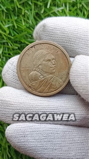 2000-P Sacagawea Dollar: Circulation Value vs. Collector Interest
