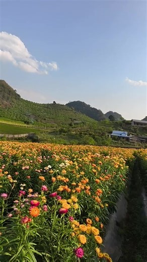 Vy Nguyễn on Reels