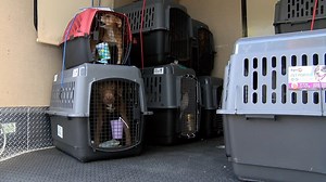 4.4K views · 299 reactions | Saturday night our staff from HSSC spent...