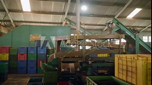 Inside a tea factory, conveyor belts carry leaves for sifting. Workers sort, grade tea on machinery. Processed leaves drop into crates. Authentic tea production workflow in action. Slow motion.